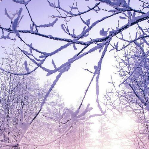 สมาชิกหมายเลข 4627164