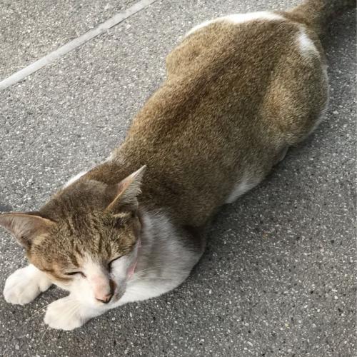 สมาชิกหมายเลข 5378993