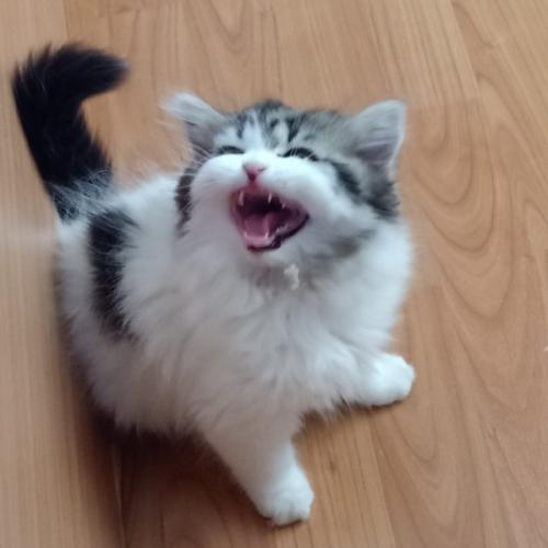 สมาชิกหมายเลข 3299779