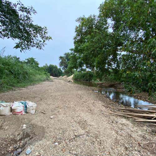 สมาชิกหมายเลข 4909562