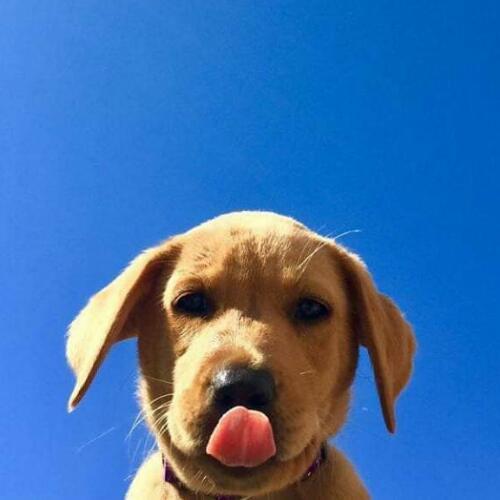 สมาชิกหมายเลข 5876112