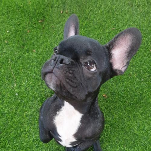 สมาชิกหมายเลข 5876272