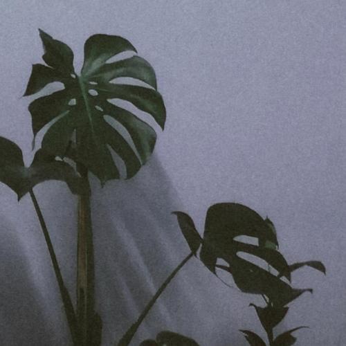 สมาชิกหมายเลข 6402164