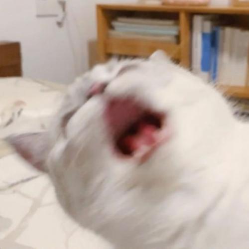 สมาชิกหมายเลข 6475492