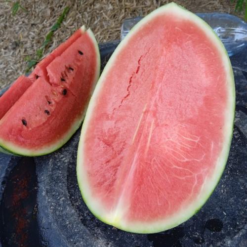 สมาชิกหมายเลข 7181798