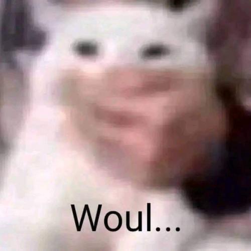 สมาชิกหมายเลข 6734452