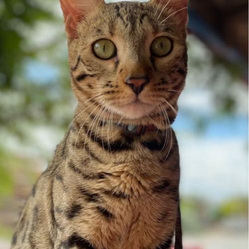 สมาชิกหมายเลข 7983586