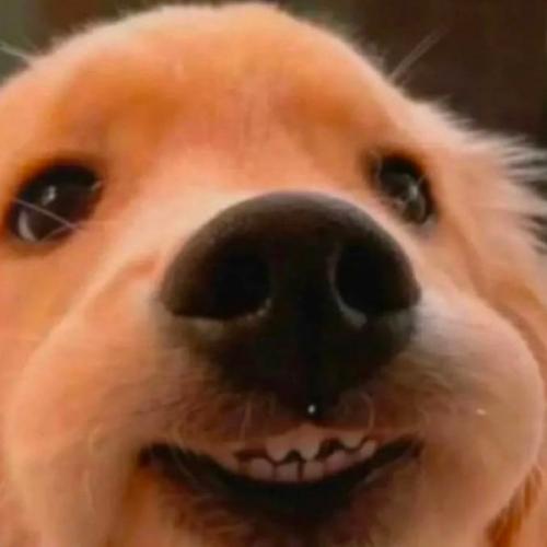 สมาชิกหมายเลข 9009956