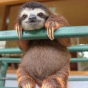 เด็กหญิงคนนั้นดูหงอยเหงา