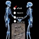 สมาชิกหมายเลข 4238450