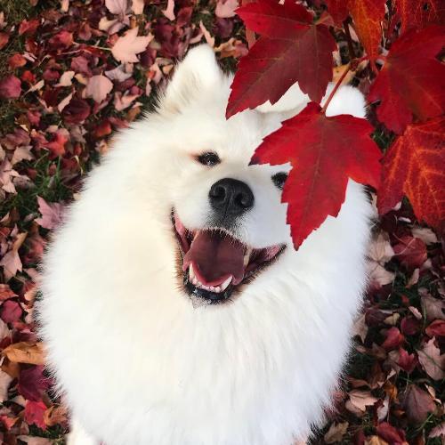 สมาชิกหมายเลข 3014020