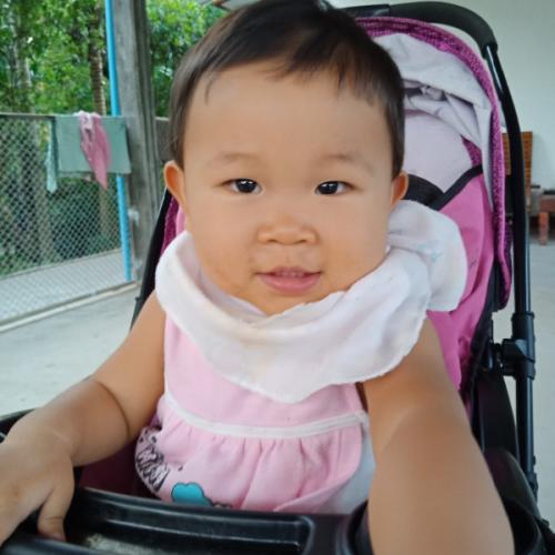สมาชิกหมายเลข 3498384