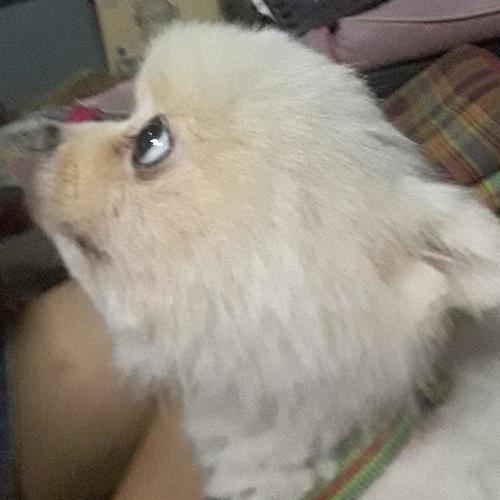 สมาชิกหมายเลข 4935236