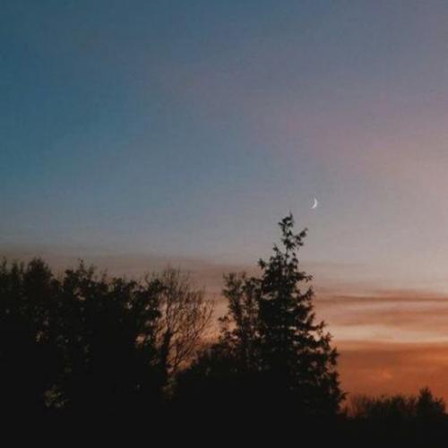 สมาชิกหมายเลข 5379766