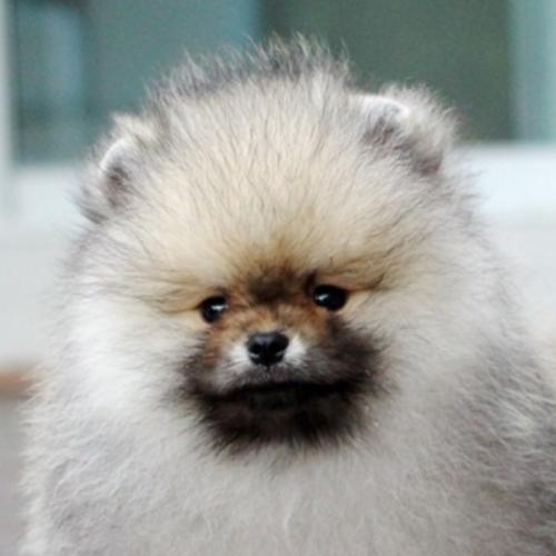 สมาชิกหมายเลข 3208687