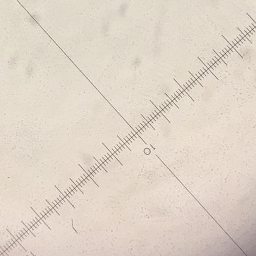 สมาชิกหมายเลข 3485199