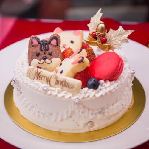 สมาชิกหมายเลข 5876620