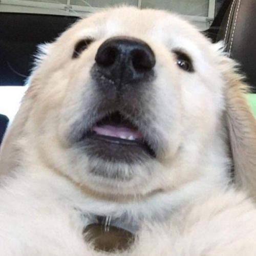 ถ้ารู้งี้นะ