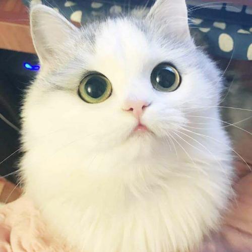 สมาชิกหมายเลข 6476201