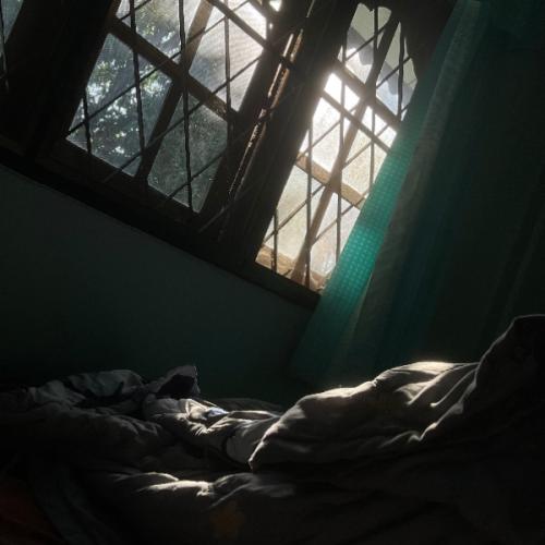 สมาชิกหมายเลข 7356623