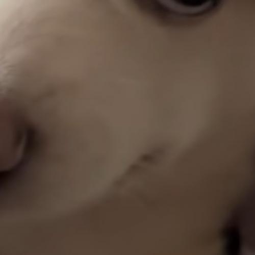 สมาชิกหมายเลข 7513110