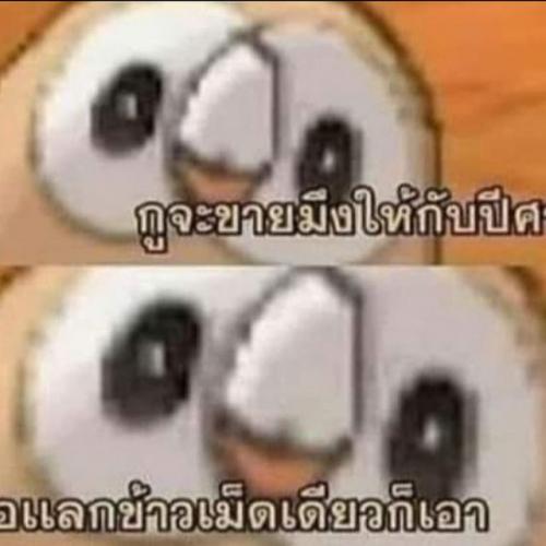 สมาชิกหมายเลข 6749945