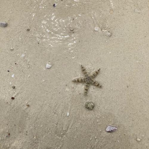 สมาชิกหมายเลข 8470957