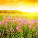 สมาชิกหมายเลข 3774574