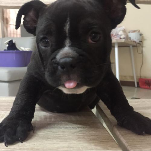 สมาชิกหมายเลข 733633