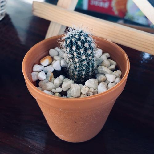 สมาชิกหมายเลข 5877068