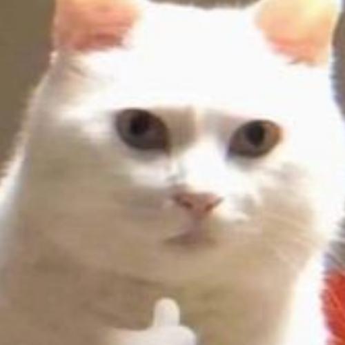 สมาชิกหมายเลข 7329292