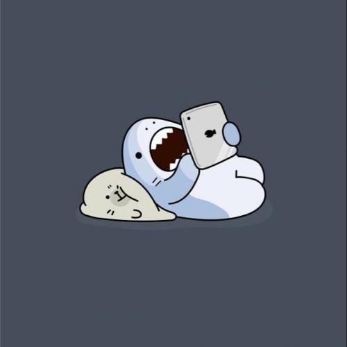 สมาชิกหมายเลข 7983946