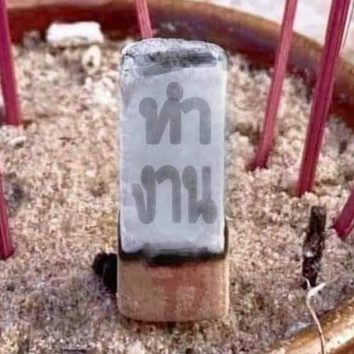 สมาชิกหมายเลข 7984978