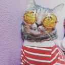 สมาชิกหมายเลข 1882581