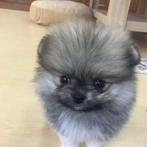 สมาชิกหมายเลข 4239256