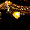 สมาชิกหมายเลข 4239448