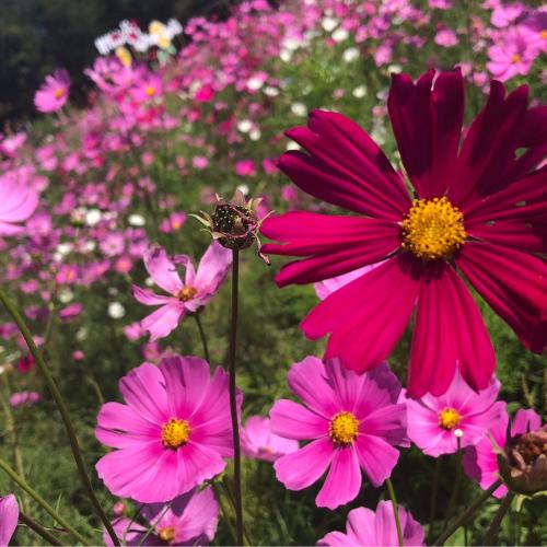 สมาชิกหมายเลข 4628315