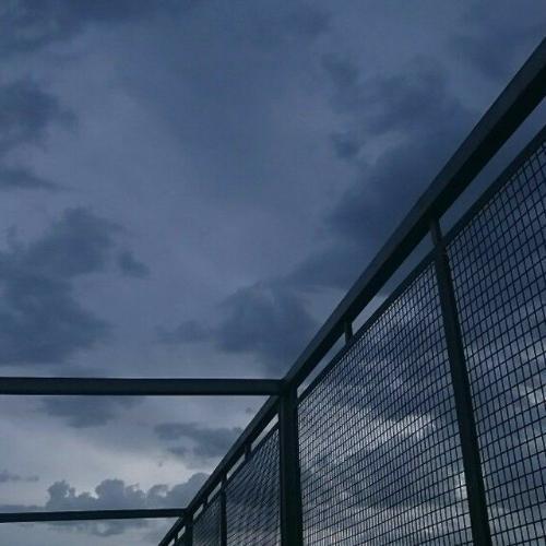 สมาชิกหมายเลข 4981578