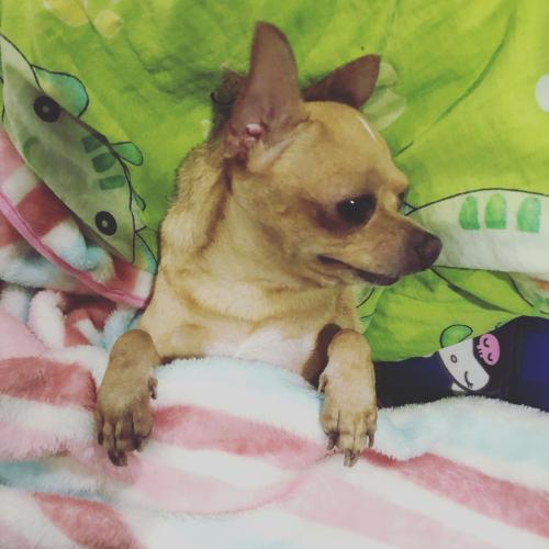 สมาชิกหมายเลข 5865452