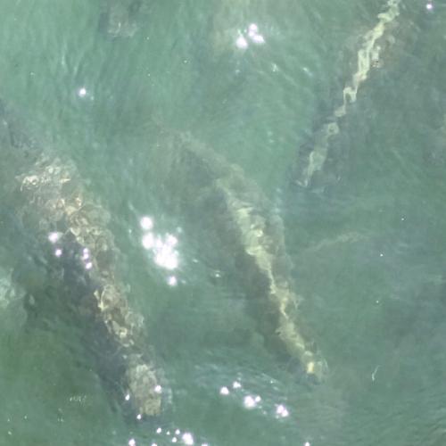 สมาชิกหมายเลข 5881781