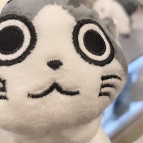 สมาชิกหมายเลข 7986362