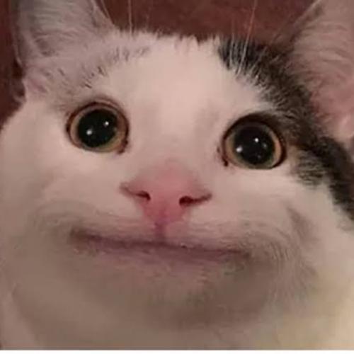 สมาชิกหมายเลข 6781443