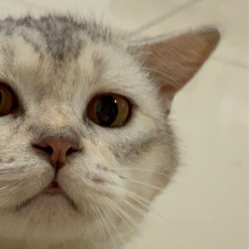 สมาชิกหมายเลข 9011331