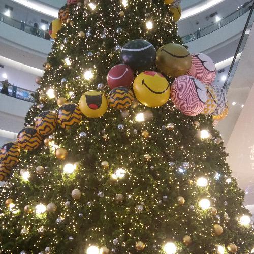 สมาชิกหมายเลข 4505296