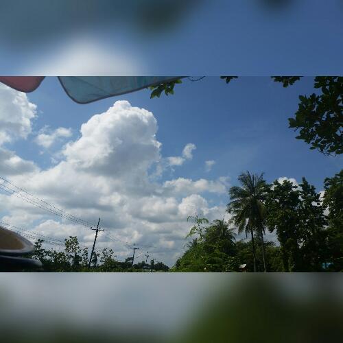 สมาชิกหมายเลข 4984582