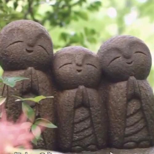 สมาชิกหมายเลข 4809771