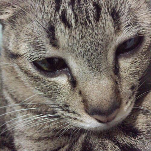 สมาชิกหมายเลข 1650599