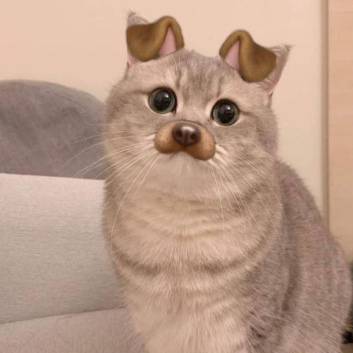 สมาชิกหมายเลข 6478082