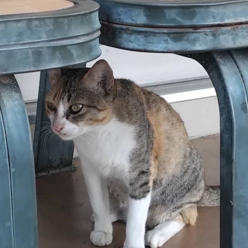 สมาชิกหมายเลข 7138489