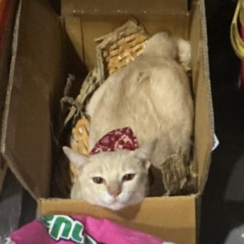 สมาชิกหมายเลข 8494252